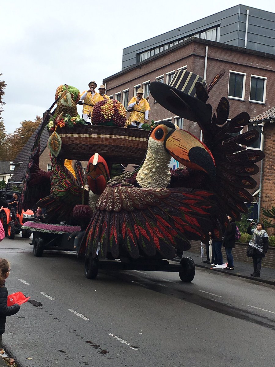 Wat een prachtige wagens! Wat een werk, wat een passie, hulde aan de wagenbouwers! En een vette high five voor het kindercorso #fruitcorso