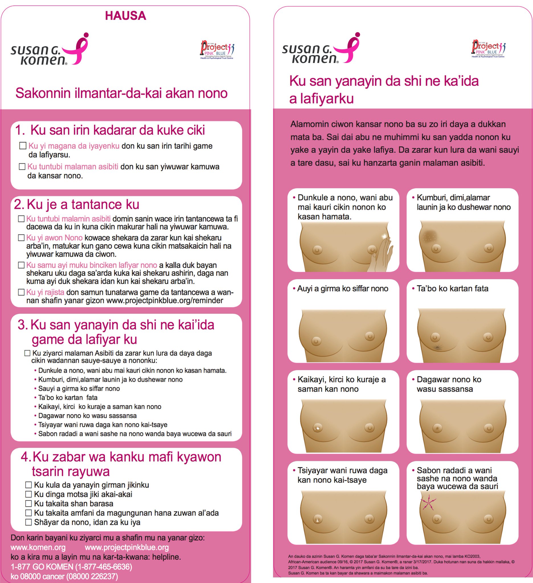 Project Pink Blue We Translated Cancer Awareness Material From English To Hausa Igbo Pidgin Yoruba We Need Sponsor 4 Printing N50 Each Copy Rt To Help Us T Co Sb4ch2evp2 Project Pink Blue We Translated Cancer Awareness Material From English To Hausa Igbo Pidgin Yoruba We Need Sponsor 4 Printing N50 Each Copy Rt To Help Us T Co Sb4ch2evp2