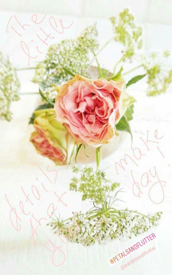 petalsnflutter's tweet photo. For your events: +961 78 802845
#flowers #floral #decoration #wedding #florist #bride #bridal #luxury #beirut #lebanon #petalsandflutter https://t.co/jMyifhqGzP