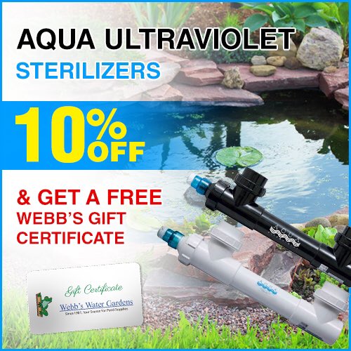 Webb S Water Gardens On Twitter This Sale Isn T Going To Last