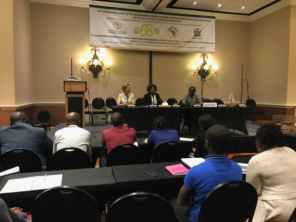 SerapAksoy tweet media