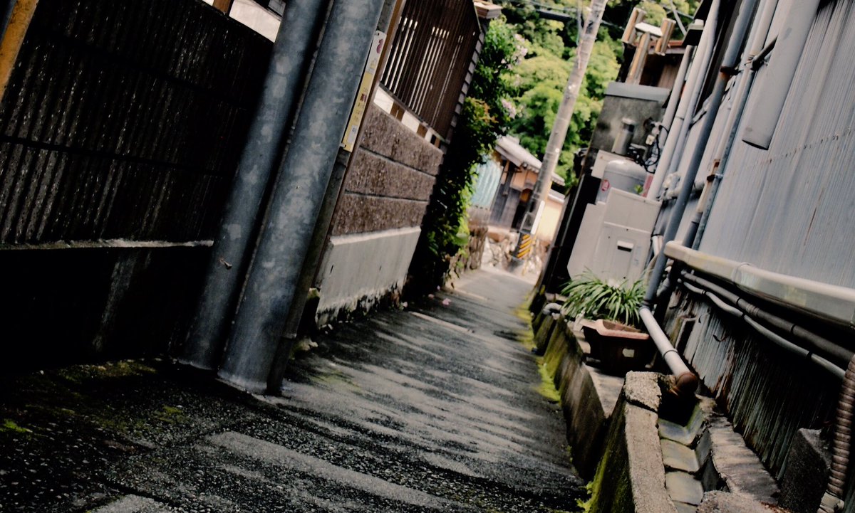 夏が恋しい
#琵琶湖#三重#18切符の旅
#写真好きな人と繋がりたい 
#カメラ女子