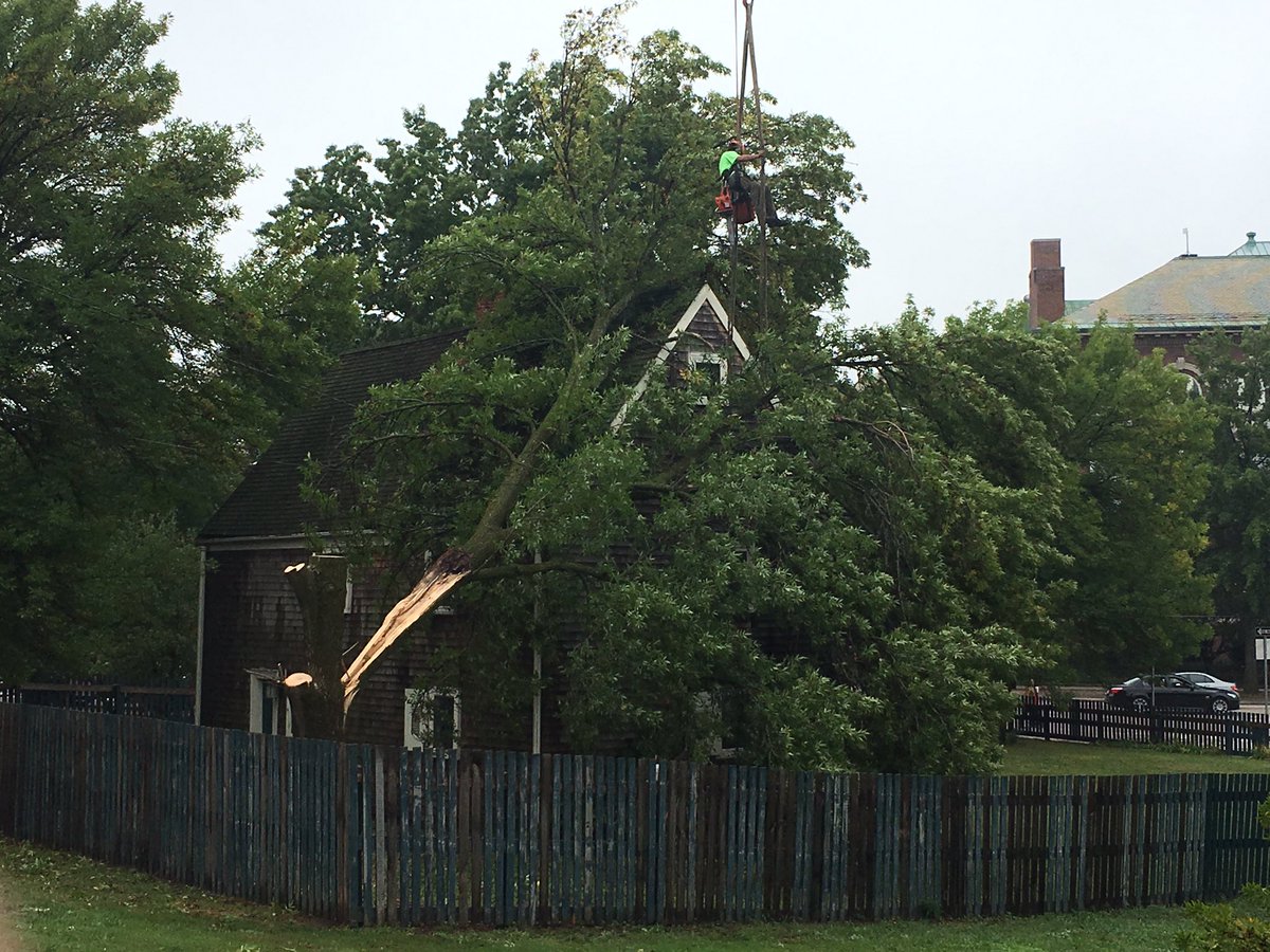 BillyDel1on's tweet photo. Tree tries to take out oldest house in Boston. Fails. #Blakehouse #Dorchester https://t.co/9WyuHcNRNe