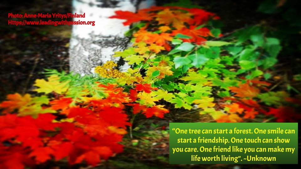 "One tree can start a forest". bit.ly/PLANTATREE888 #climatechange #climateaction
