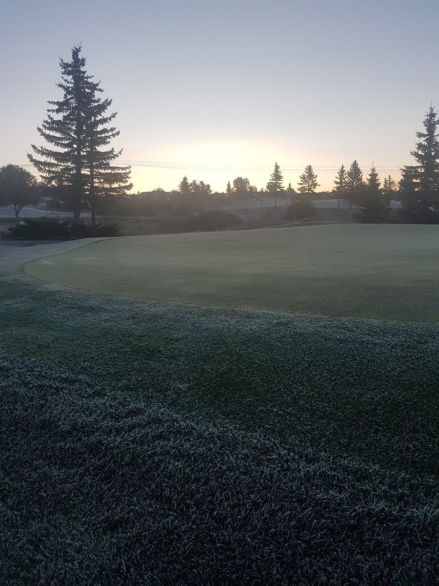MulroyKatherine's tweet photo. Hard to believe we made it to mid September without a frost delay! But it's out in full force today. https://t.co/RxSUxP3zkE