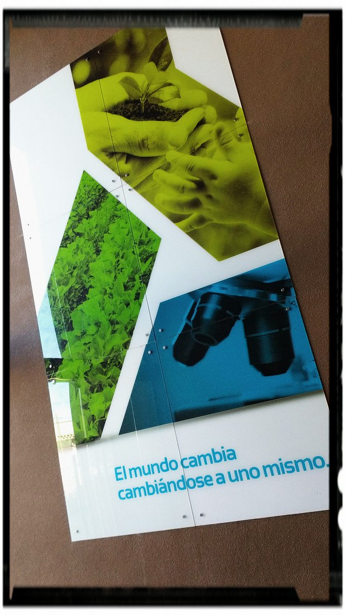 efectodomi's tweet photo. Jornada laboral en Rizobacter.
 Focus group. 
 Gracias por confiar siempre en nosotros!

 #VideoFullHD
 #Pergamino https://t.co/f1v0mHnsEt