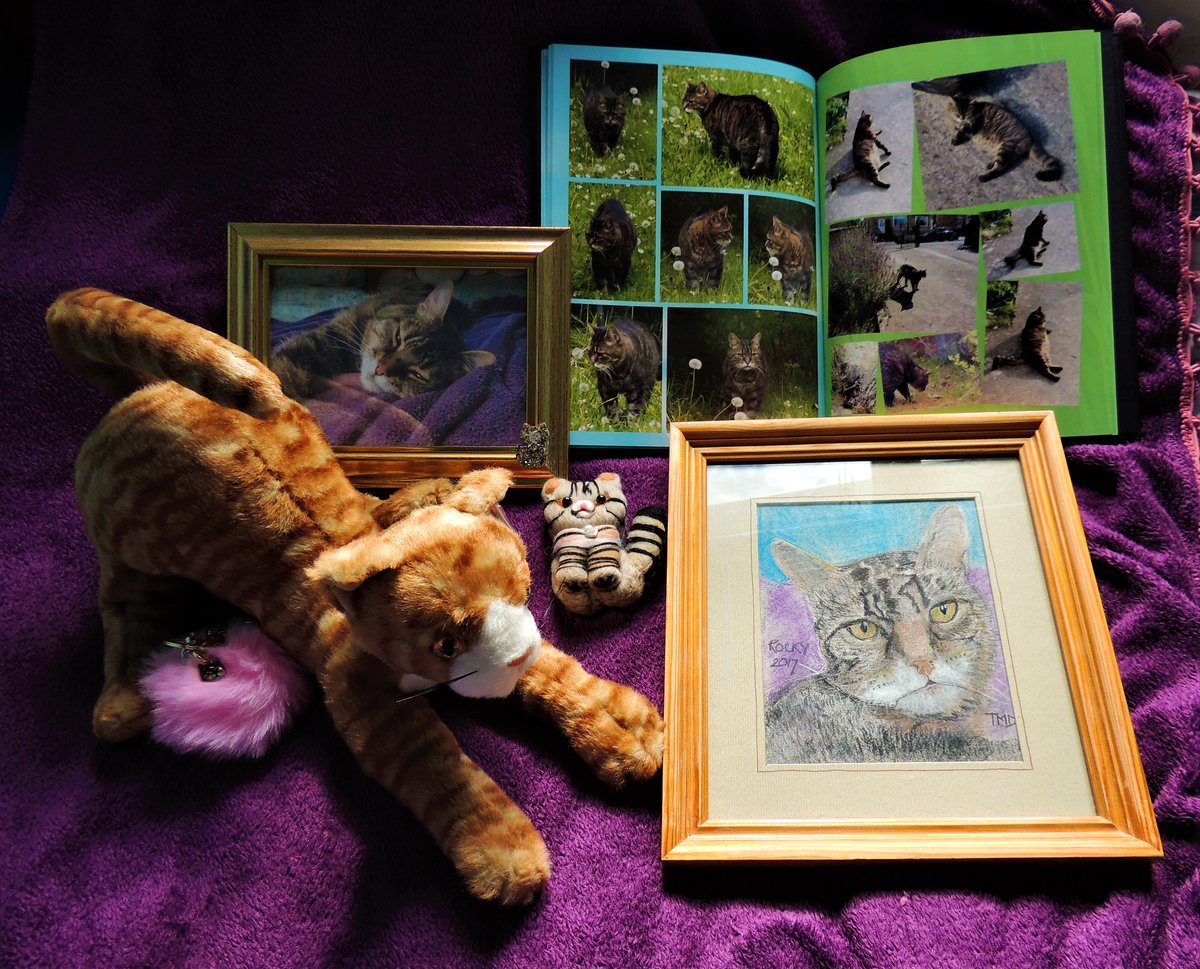 NeetDG's tweet photo. Remembering Rocky bits and bobs. With thanks to @infinite_fluffs ❤️#CustomKitty he is great and the charm. #Caturday #meow https://t.co/zbbzv0OBpw