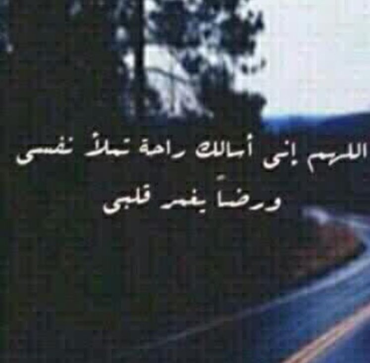 bet__ab00ha (@al_keer_232) on Twitter photo  bet__ab00ha (@al_keer_232) on Twitter photo