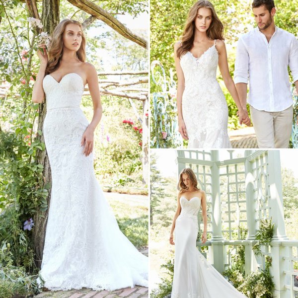 BridalandFormal's tweet photo. Calling all Boho Brides! 3 New Gowns Have Arrived from @TiAdora_JLM. #SalonSaturday #TiAdora #BohoBride https://t.co/infngsuGpD https://t.co/rQEWrqUFWh