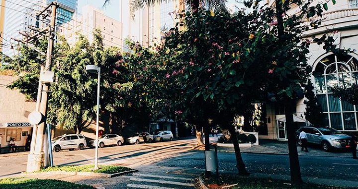 BlakeUpdatesPL's tweet image. #UPDATE

Blake posted this on Instagram | throughblakesview