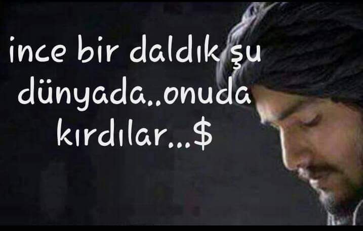 setenay (@___setenay___) on Twitter photo 