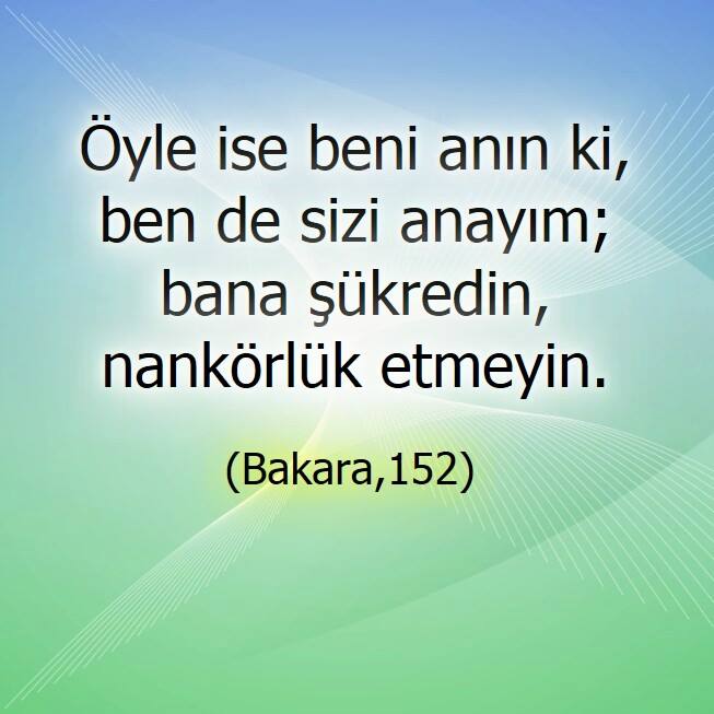 Qiz spermadan jirkandi (video)