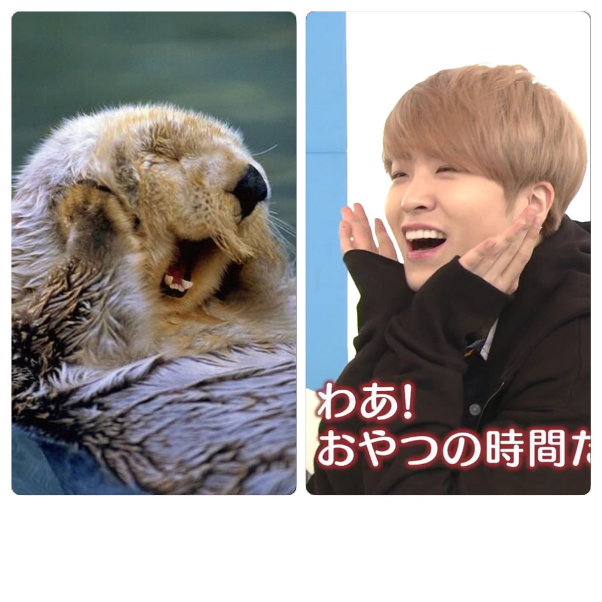 Charlie_Xa's tweet photo. #SunshineYoungjaeDay Happy Birthday to my cutest otter! 😘 https://t.co/Cg3kDCXdub