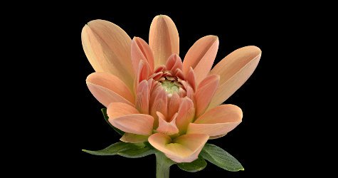 Lazy weekend poll ~ open thread, mid-September 2017 nstperfume.com/2017/09/16/laz… #perfume #fragrance