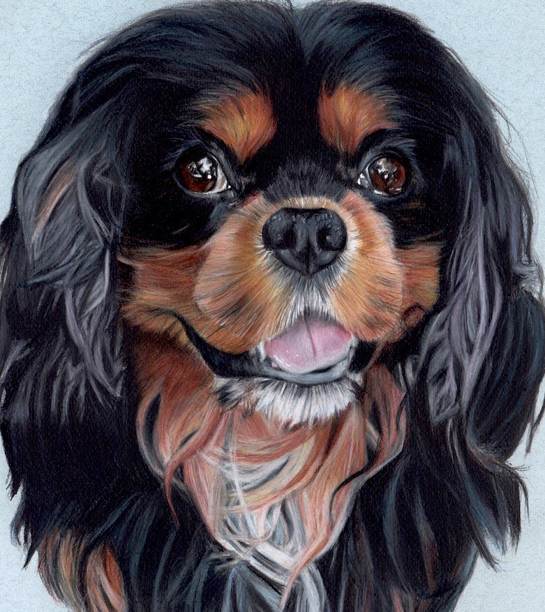 Oscar's portrait off to Gloucestershire 😀
<a href="/StoweGallery/">StoweGallery@St.Ives</a> <a href="/FaberCastell/">Faber-Castell</a> <a href="/derwentpencils/">derwentpencils</a> #petportraits #Dog