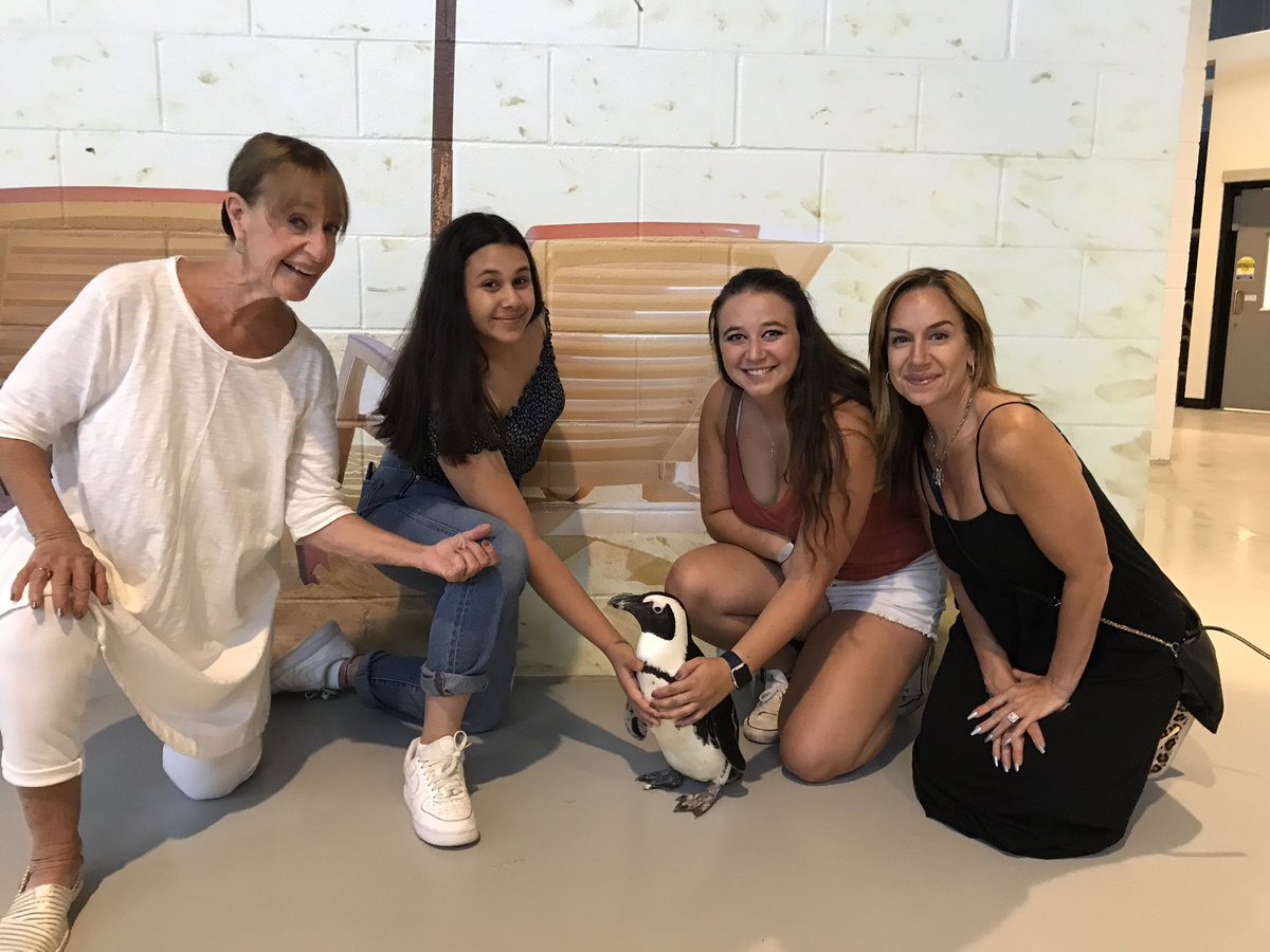 Thank you for an amazing day <a href="/OdySeaAquarium/">OdySea Aquarium</a> We loved meeting TJ &amp; the rest of the family! <a href="/realvickimars/">Vicki Marshall</a> <a href="/BriDay1/">Bri 🫶🏼</a> AMAZING #Arizona