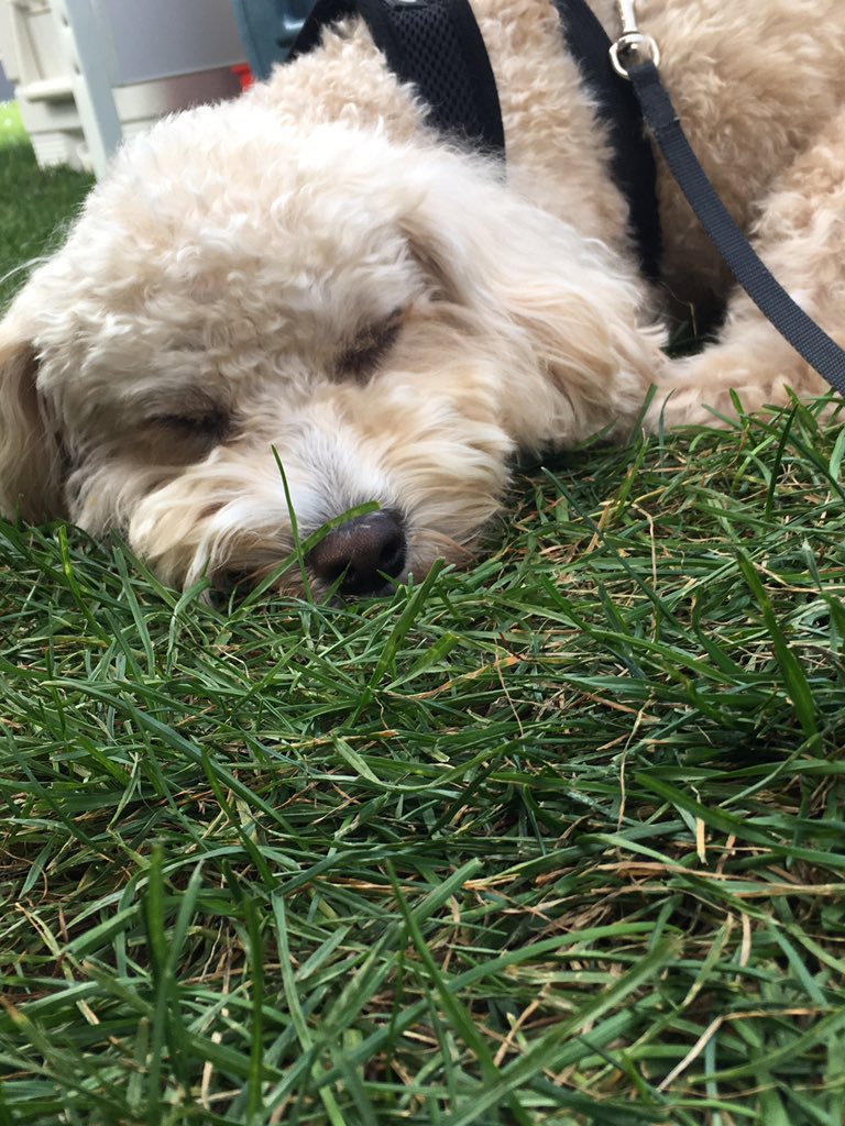 Tailgating all day got me like...