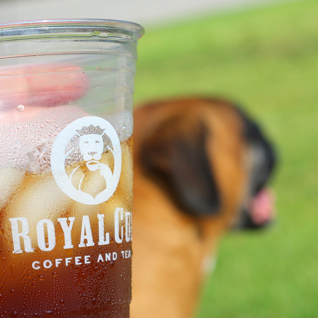 Cold Brew + Dog Walks = ❤️