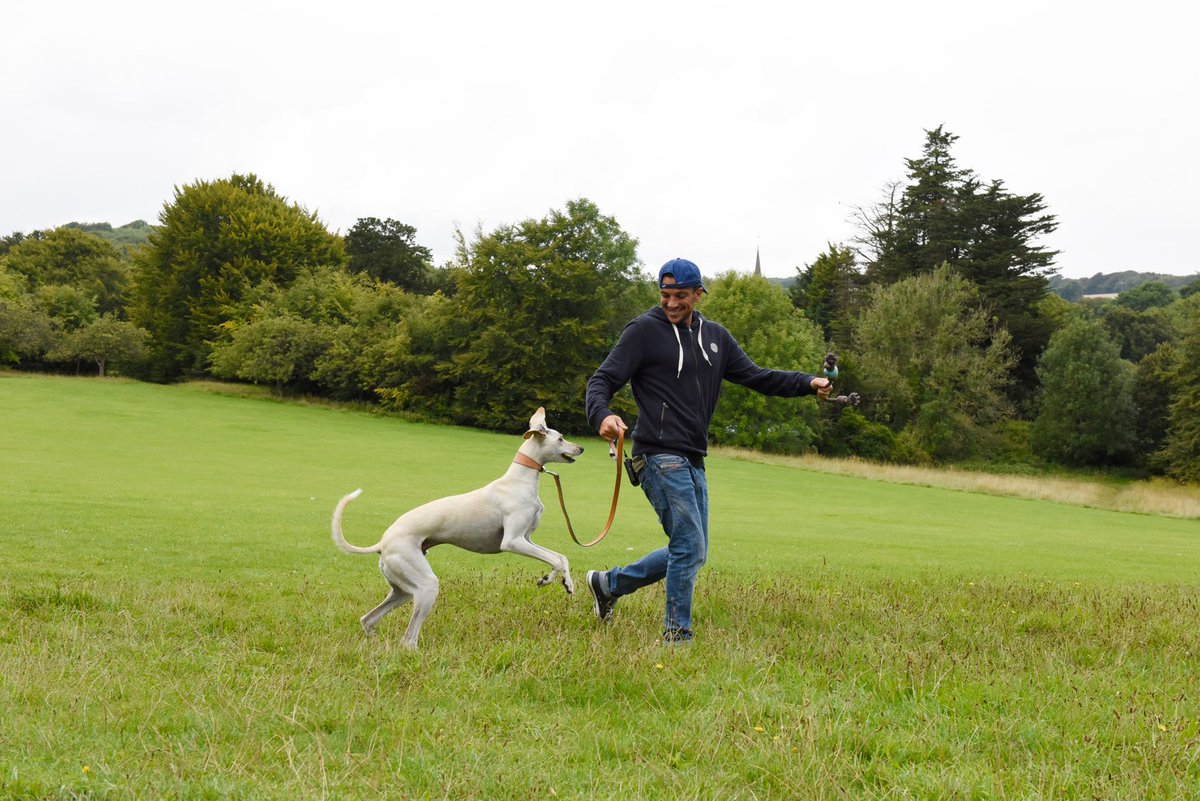 DogsLifeTW's tweet photo. Whistle while you work! Do you sing to your dog when walking? https://t.co/RH3pOMyMsj #RSPCA #mrpeterandre https://t.co/Nj9KT72O9I