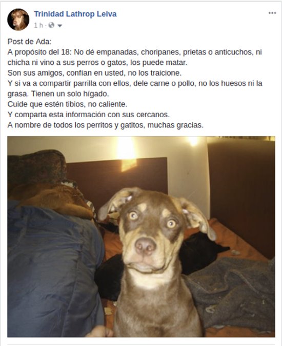 <a href="/MuniLaReina/">La Reina</a> <a href="/TenenciaRespons/">TenenciaResponsable</a> <a href="/JMPalaciosParra/">José Manuel Palacios</a> <a href="/SOS_Animales/">SOS Animales</a> <a href="/NoticieroAnimal/">NOTICIERO ANIMAL ® 🐾</a> <a href="/AnimaNat_Chile/">AnimaNaturalis Chile</a> <a href="/AnimalParaiso/">AnimalParaíso</a> <a href="/infoanimalchile/">Info Animal Chile 🇨🇱</a> <a href="/pewos/">ℙ𝕖𝕨𝕠𝕤 ℍ𝕚𝕡𝕤𝕥𝕖𝕣𝕤</a> <a href="/carolinapinoc/">Caro 🌲 C.</a> <a href="/kattykowaleczko/">Katty Kowaleczko</a> Bien, yo aporto este otro