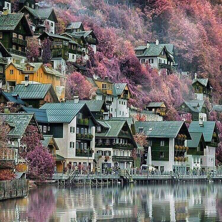 Samurai_Wifi's tweet photo. Paradise in the world, Hallstatt, Austria❤️
Cr. Travel While Alive
#bsmobile #SamuraiWifi #GlobalWifi #Asia #Europe #Pocketwifi https://t.co/2niUU2WP2a
