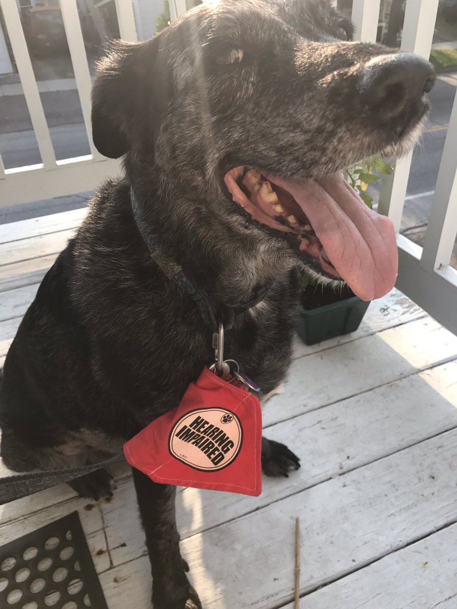 Happy sunny Saturday, pals!! Time for VT adventures with <a href="/callmelou/">Laura McKenna 🌸</a> &amp; <a href="/lardfork/">Lardfork@bsky.social</a> ☀️🍁🍎