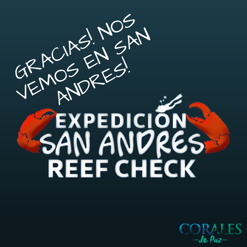 coralesdepaz's tweet photo. Gracias! Hemos alcanzado el cupo determinado para el #SanAndresReefCheck y cerrado las inscripciones. #buceo #buceoconproposito #coral https://t.co/0ZWMOsVQw5