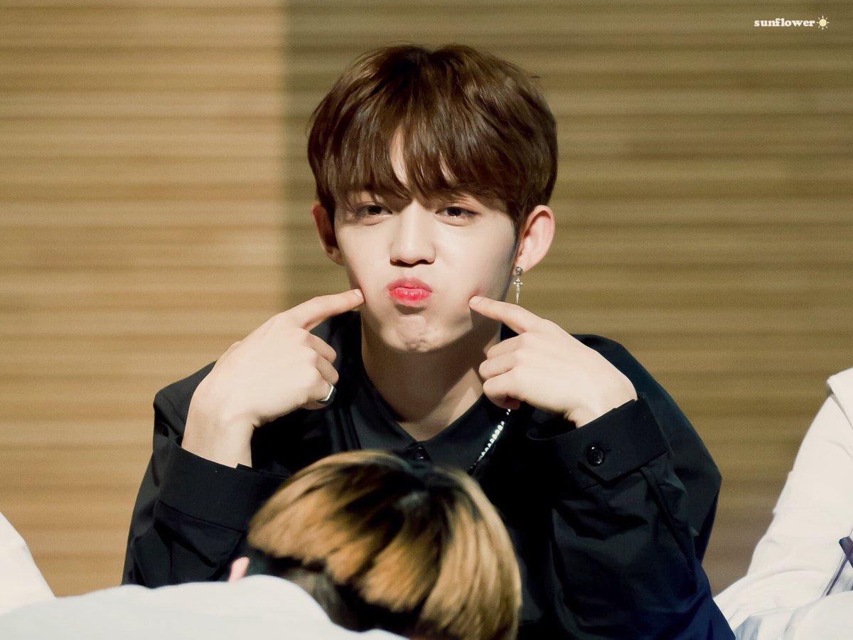 honey_coups's tweet photo. we're crazy in love ♡ #CaratSelcaday #17caratsecaday https://t.co/sgDwLYuPHs