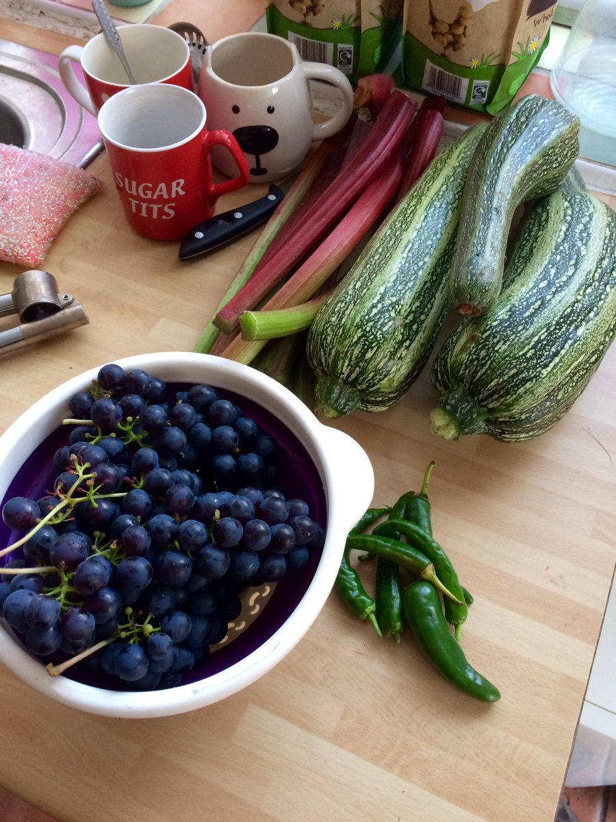 Allotment bounty. Make an interesting meal. Rhubarb for crumble tonight. 🤤