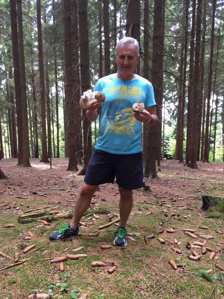 gorbasidis's tweet image. 