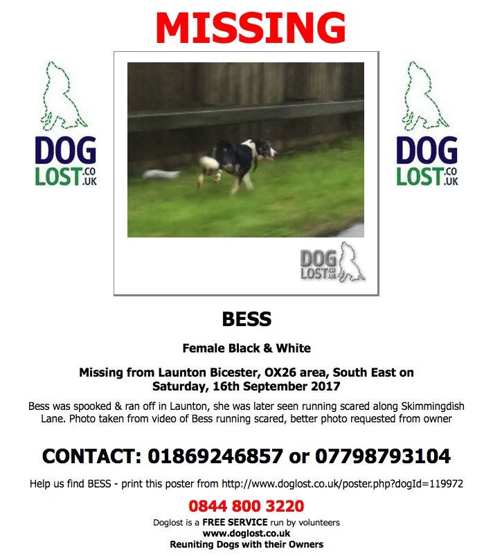 DogLostUK's tweet photo. #LOST BESS Female #Dog 
#Launton #Bicester #OX26 #Lostdog #ScanMe  https://t.co/ZJs41pxo7n https://t.co/m0Wg5s8MOQ