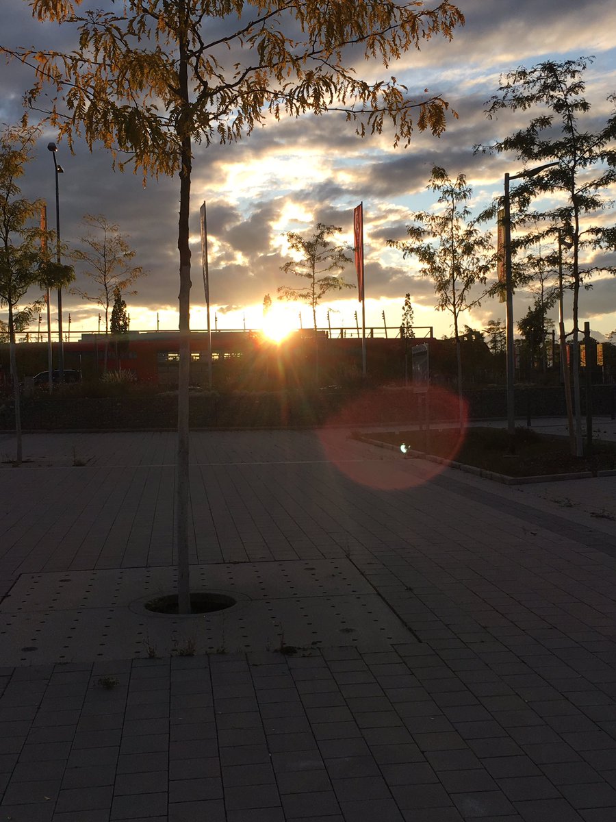 326Ingo's tweet photo. #vorfreude #SSVSGD https://t.co/hix6IO8cHM