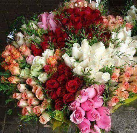 minorvasquez's tweet photo. https://t.co/HrRIsOPn2p