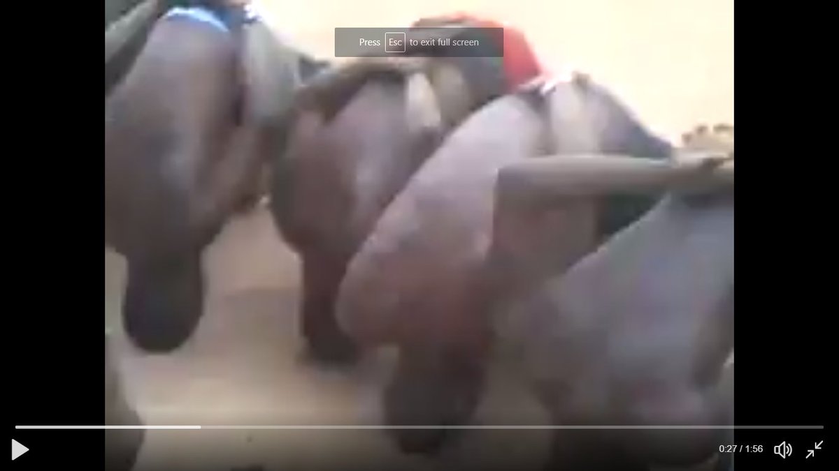 ogundamisi's tweet image. 1.  #BiafraIPOBFactCheck Ignore video being circulated by IPOB internet PROPAGANDA enablers alleging @HQNigerianArmy abusing IPOB members👇👇