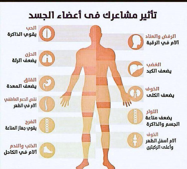 تأثير مشاعرك على أعضاء جسدك ..