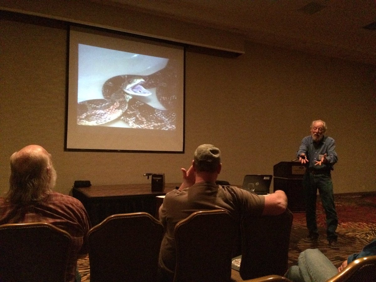 ethsnews's tweet photo. Sharing his first snake experiences! Using Mitochondrial DNA to determine the locality of Lampropeltis alterna- by Dr. Larry Nordyke #ETHS17 https://t.co/T5xFXkUW2p