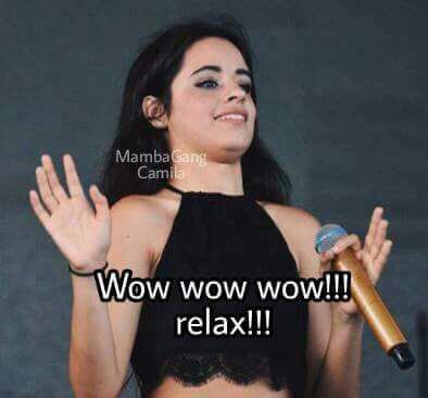 CamilaAtrian's tweet photo. @Camila_Cabello #HavanaOhNaNa @Camila_Cabello when someone tells me I can't put music that loud https://t.co/aFPwE9y7ZF
