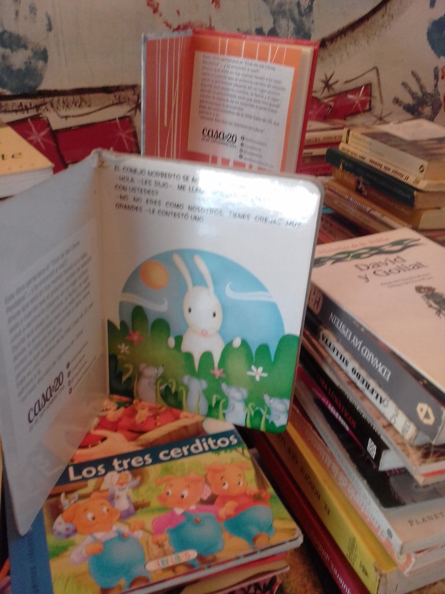 MMariaDivi's tweet image. Algunos de los libros listos para la siembra !
#LibrosPerdidosMDP @CasadeVeinte