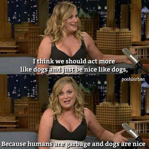 Happy Birthday Amy Poehler! I want to be you when I grow up 