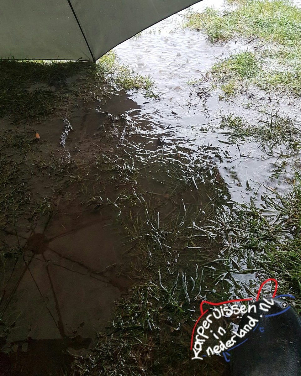 Rain or shine??!! Keep going!!!
karpervisseninnederland.nl