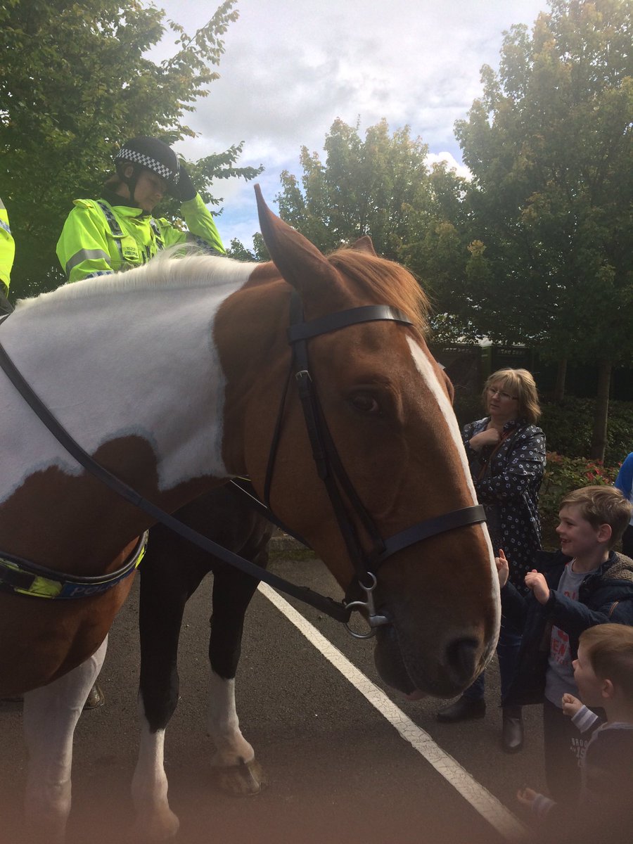 whitevanbadger's tweet photo. @GlosHorsePol PH's Barton &amp; Teddington today. Don't forget to share the Polos with Boris! #GPOpenDay17 #nicetomeetyou https://t.co/50F5nPYSeb