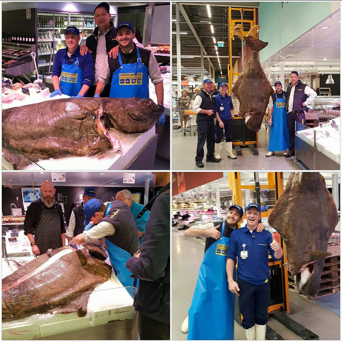 Unieke Noorse heilbot van wel 140 KG bij <a href="/MakroNieuwegein/">Makro Nieuwegein</a> trekt veel bekijks. Interesse? Prijs per kg is slechts €9,95 per kg. Tot ziens !!!