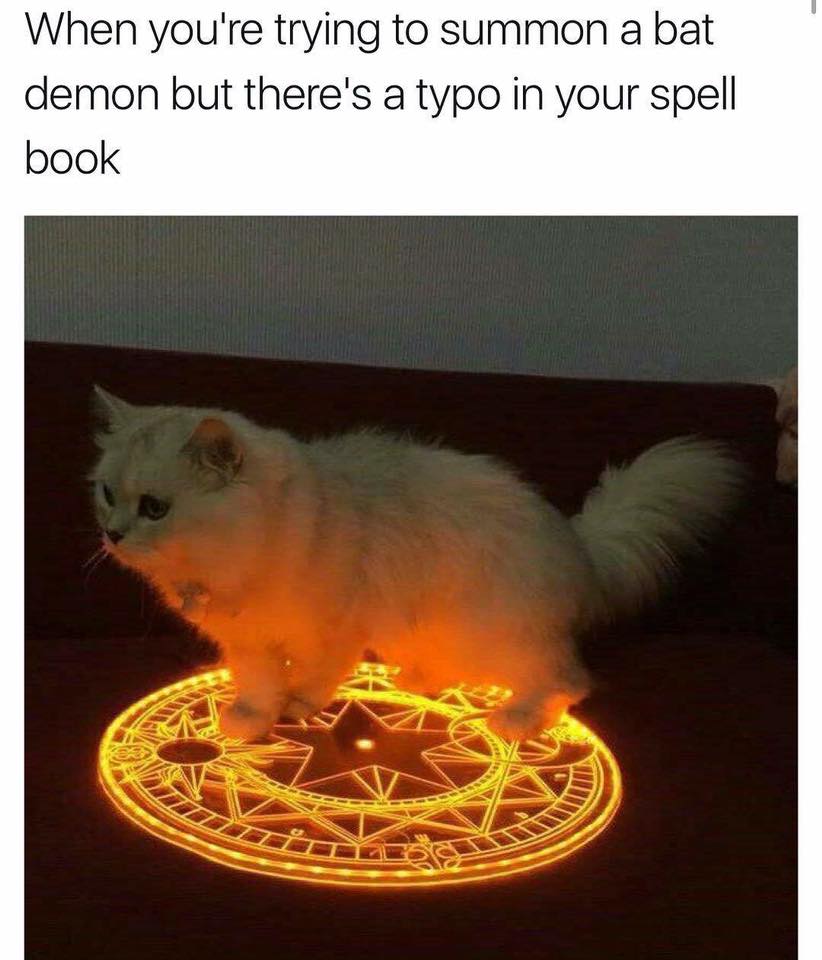 JohnTaloni's tweet image. Well, maybe I *did* say "Cat Demon!" #Caturday #cats #catdemon #kitty #humor