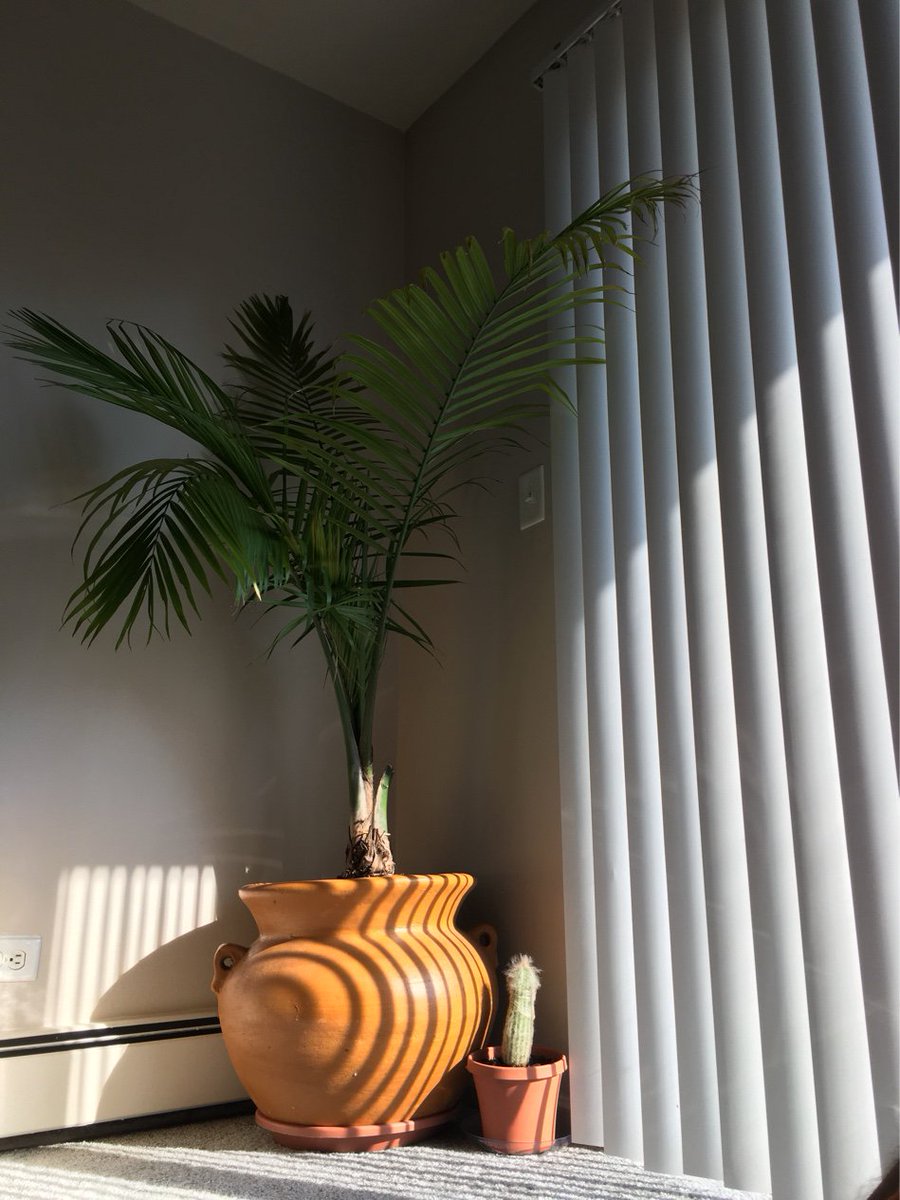 Coala5029's tweet photo. home Sweet Home https://t.co/1LoLVO6Y0k