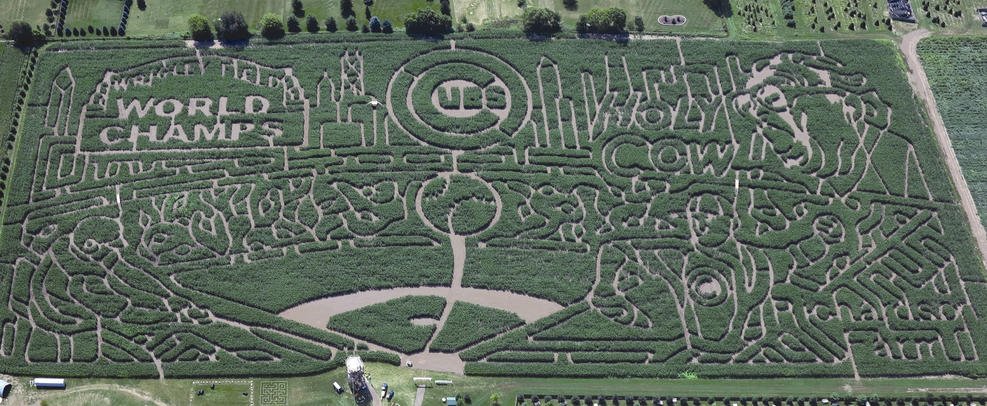 nbcchicago's tweet photo. 8 incredible Chicago-area corn mazes to check out this fall https://t.co/dtABDjfEox https://t.co/SRUeMoR9MT