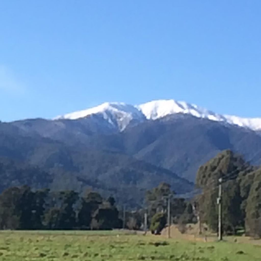 JMJ_EAforaDay's tweet photo. Morning views #highcountry #alpine #notskiing #dontski https://t.co/UczYSvImQV https://t.co/DvFGfBiZ7G