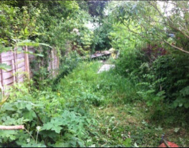 RedRoseServices's tweet image. Anyone interested in the transformative work we do here at RRGS? Have a gander at this