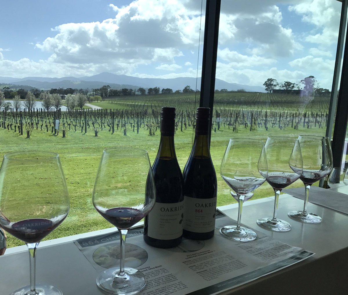 JonesNumber's tweet photo. Yarra Valley you have some pretty special wines and perfect vistas #oakridge #chandon #yarrayering #yarravalley #winetasting #champagne https://t.co/OeHeZfI67W