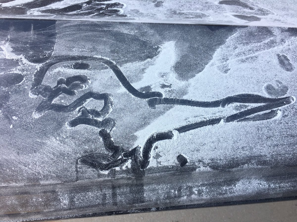 redneckas1an's tweet image. Body filler T-Rex #rustang #frankenstang