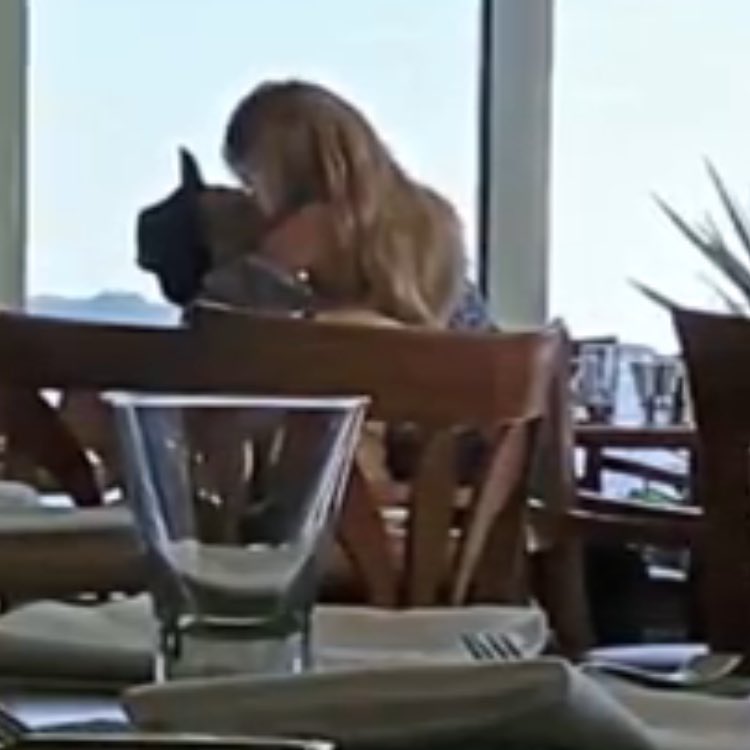 celialaucha's tweet image. #CombatePregunta @CombateSandiaC9  necesita más pruebas de que la perdio? se ve que hay alguien haciendo bien los deberes